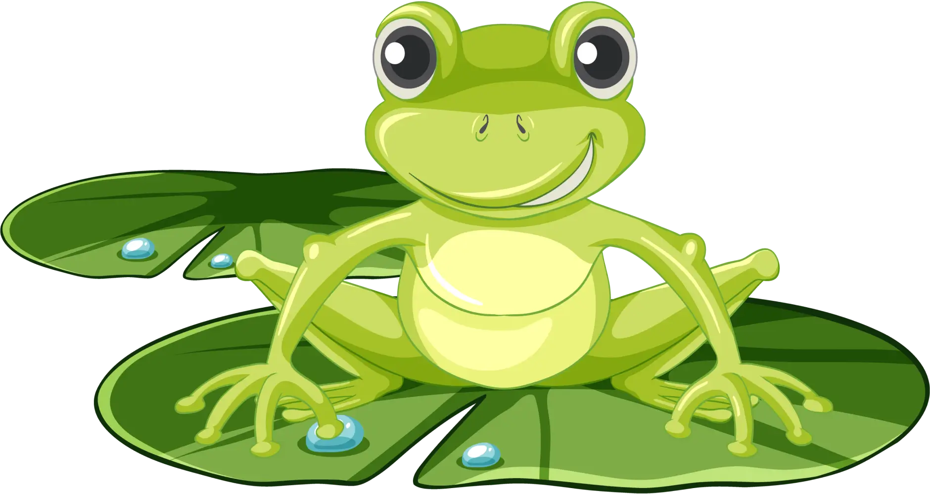 Frog Image